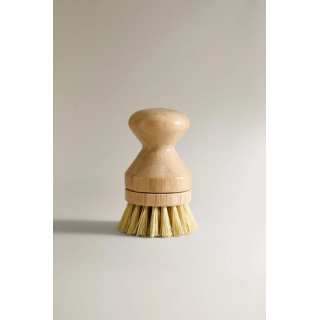 SMALL BRUSH WITH REPLACEABLE BRISTLES