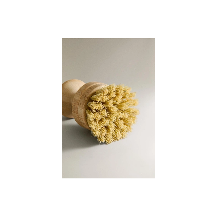 SMALL BRUSH WITH REPLACEABLE BRISTLES