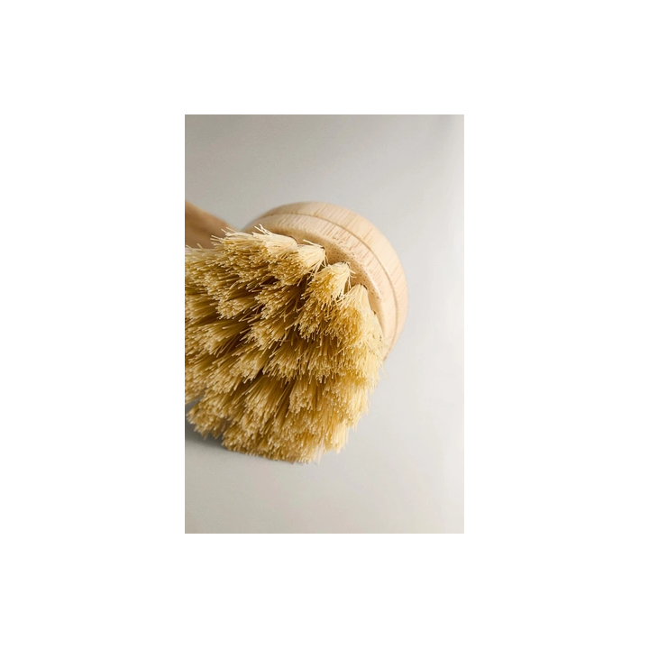 BRUSH WITH REPLACEABLE BRISTLES