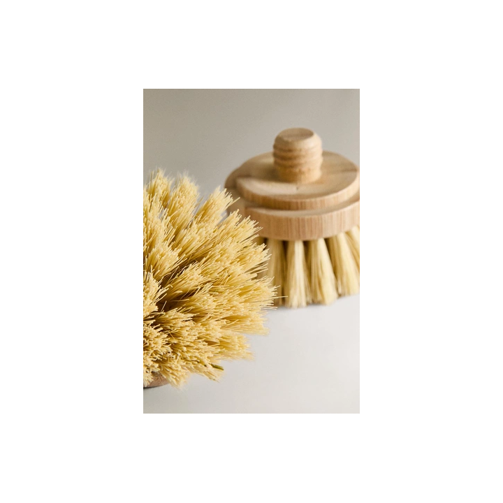 REPLACEMENT BRISTLES (SET OF 2)