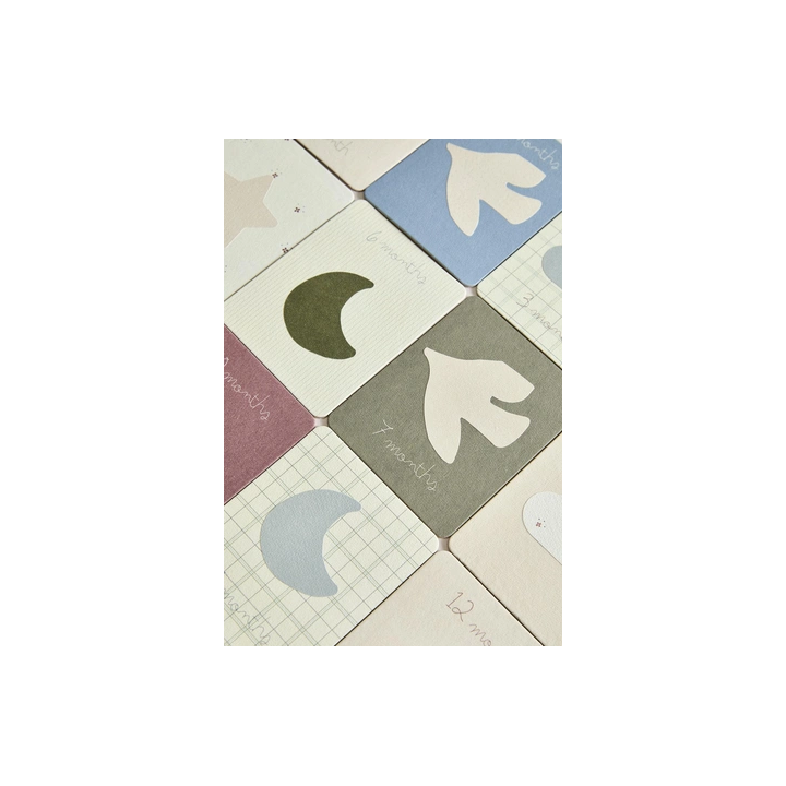 BABY MONTHLY MILESTONE KIT - 12 LITTLE DONKEY CARDS