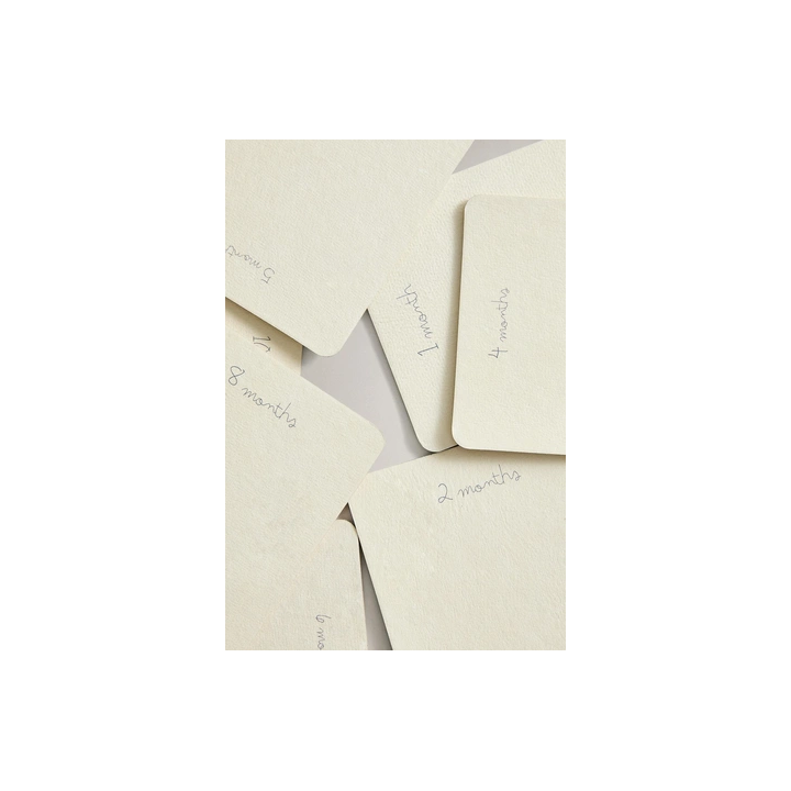 BABY MONTHLY MILESTONE KIT - 12 LITTLE DONKEY CARDS