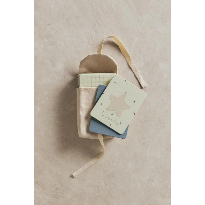 BABY MONTHLY MILESTONE KIT - 12 LITTLE DONKEY CARDS