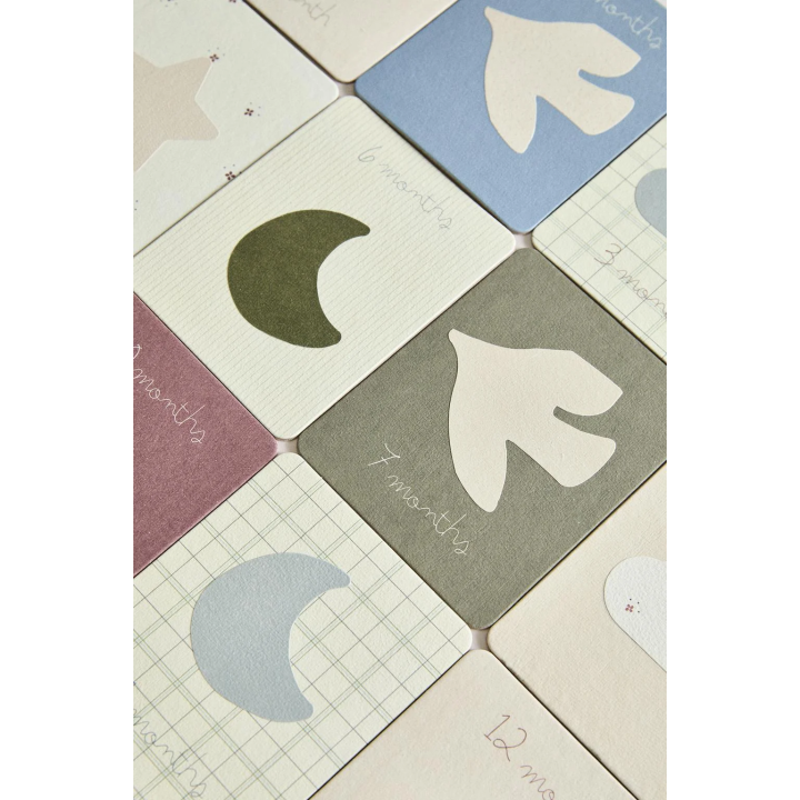 BABY MONTHLY MILESTONE KIT - 12 LITTLE DONKEY CARDS