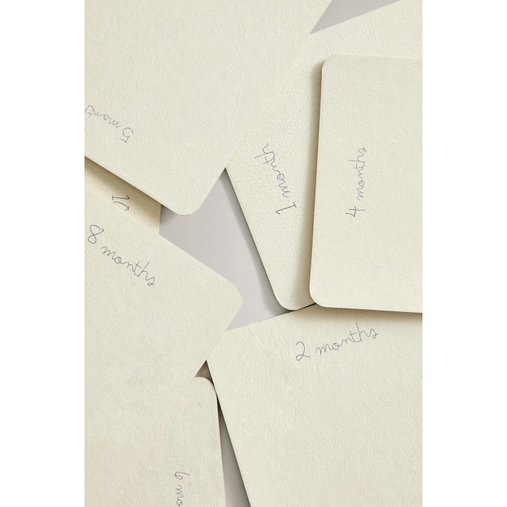 BABY MONTHLY MILESTONE KIT - 12 LITTLE DONKEY CARDS