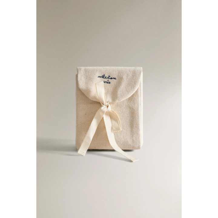 BABY MONTHLY MILESTONE KIT - 12 LITTLE DONKEY CARDS