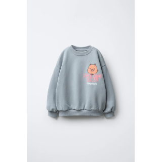 ТОЛСТОВКА С ПРИНТОМ CAPIBARA CAPYFUN ©