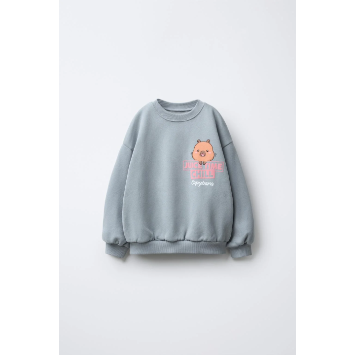 ТОЛСТОВКА С ПРИНТОМ CAPIBARA CAPYFUN ©