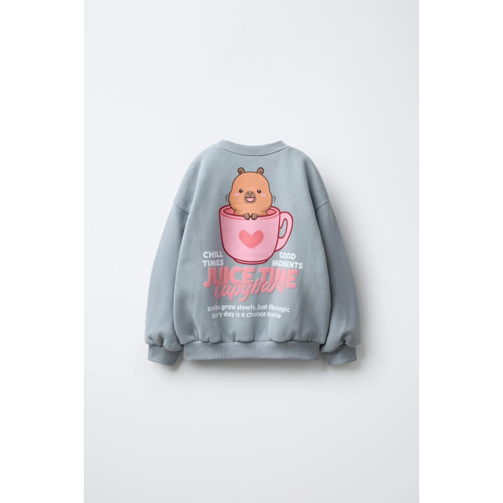 ТОЛСТОВКА С ПРИНТОМ CAPIBARA CAPYFUN ©