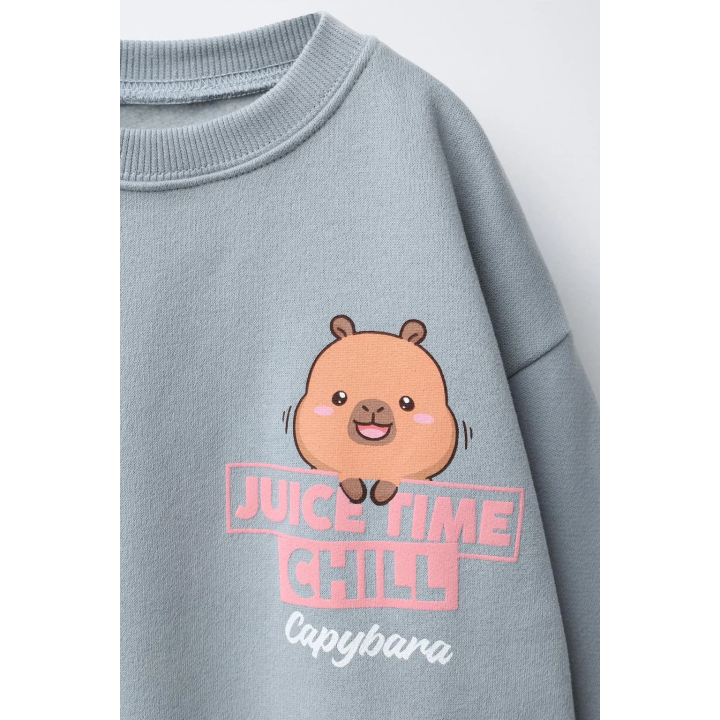 ТОЛСТОВКА С ПРИНТОМ CAPIBARA CAPYFUN ©