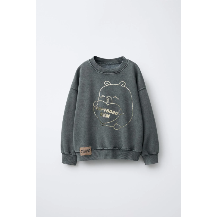 Свитшот с яркой вышивкой capybara capyfun©