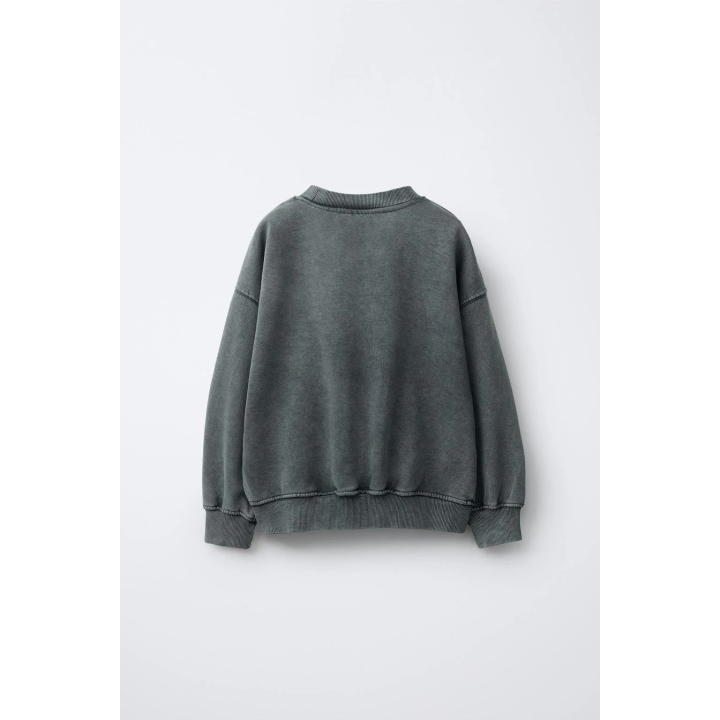 Свитшот с яркой вышивкой capybara capyfun©