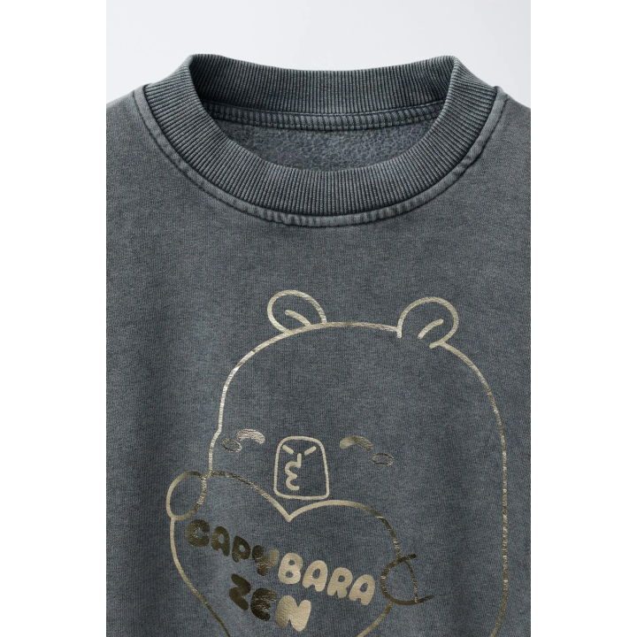 Свитшот с яркой вышивкой capybara capyfun©