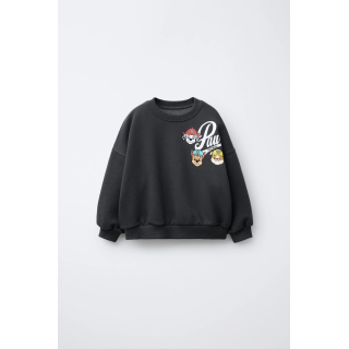 ТОЛСТОВКА С ПРИНТОМ PAW PATROL™