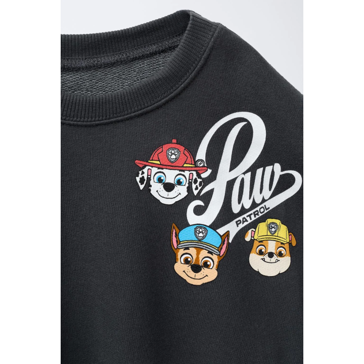 ТОЛСТОВКА С ПРИНТОМ PAW PATROL™