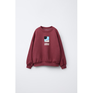 ТОЛСТОВКА С ЛОГОТИПОМ