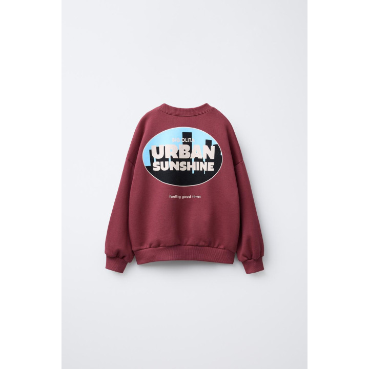 ТОЛСТОВКА С ЛОГОТИПОМ