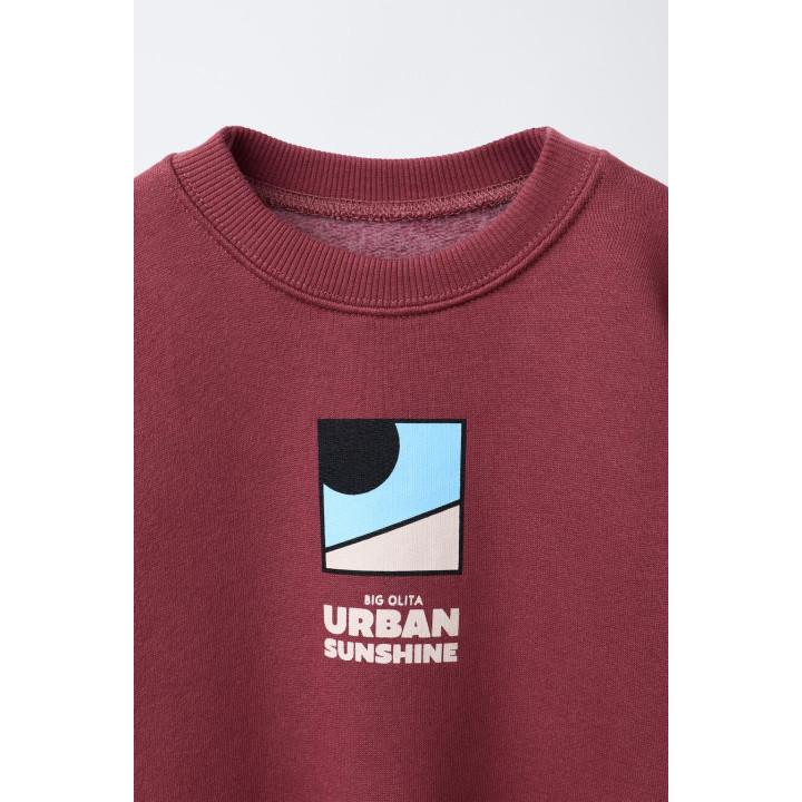 ТОЛСТОВКА С ЛОГОТИПОМ