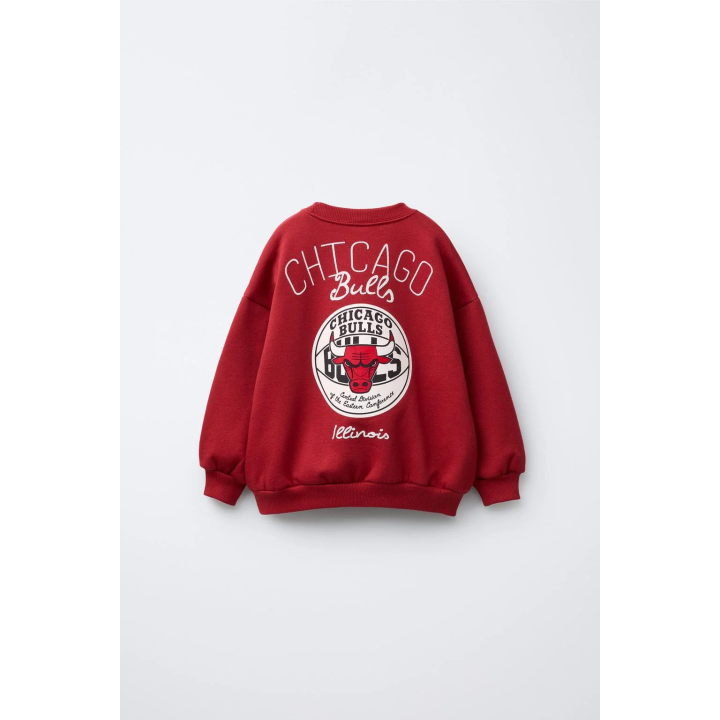 ТОЛСТОВКА CHICAGO BULLS NBA