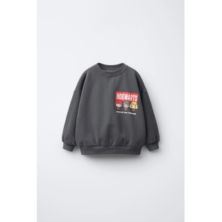 ТОЛСТОВКА HARRY POTTER ™