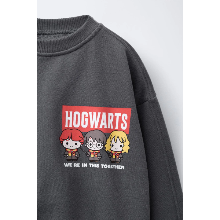 ТОЛСТОВКА HARRY POTTER ™