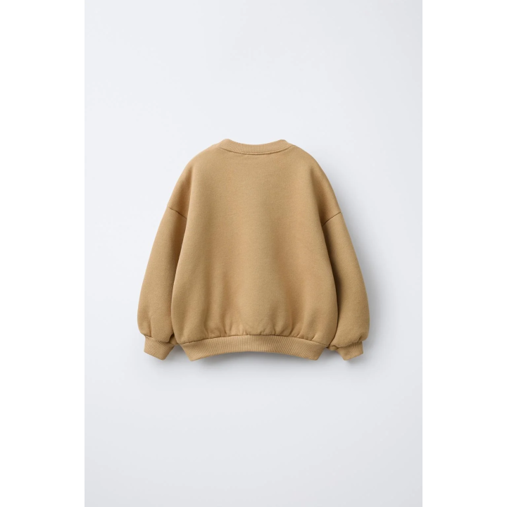 ТОЛСТОВКА С ТЕКСТОВЫМ ПРИНТОМ