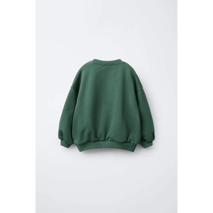 ТОЛСТОВКА С ТЕКСТОВЫМ ПРИНТОМ