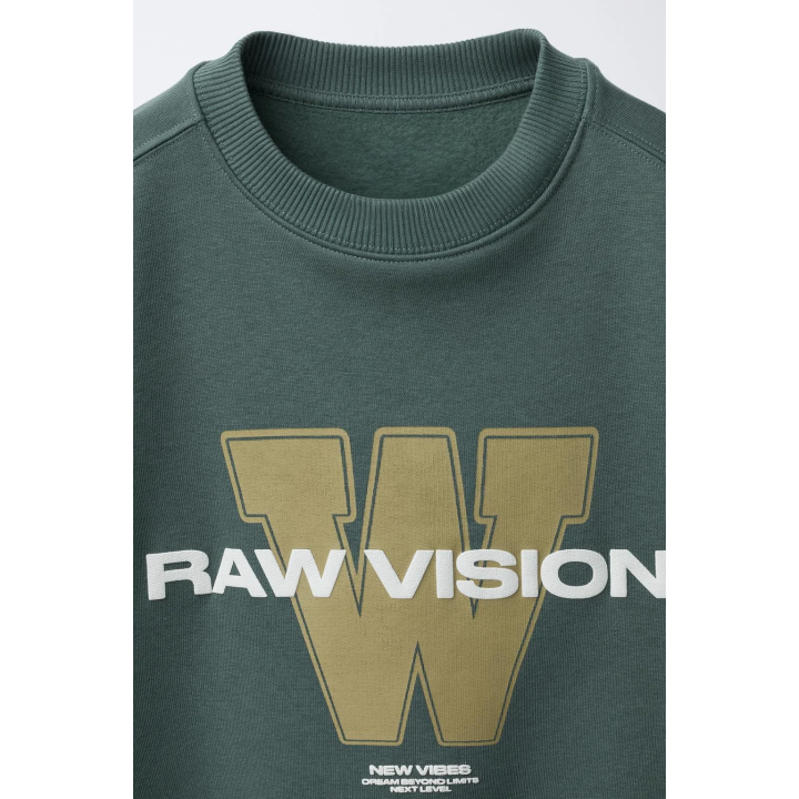 ТОЛСТОВКА С ТЕКСТОВЫМ ПРИНТОМ