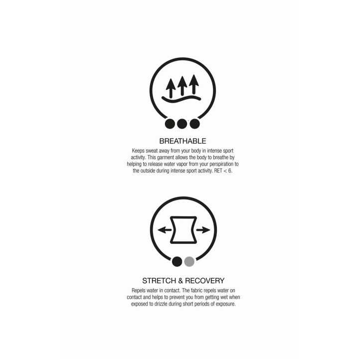 ТЕРМОЛЕГИНСЫ «АНИМАЛИСТИЧЕСКИЙ ПРИНТ»