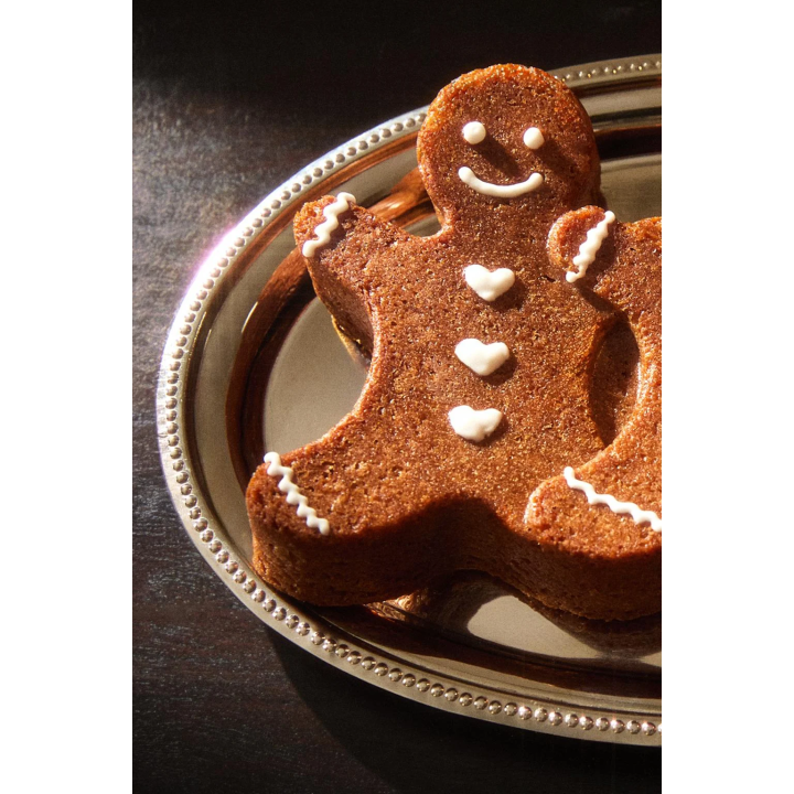 Форма для выпечки пряников на рождество