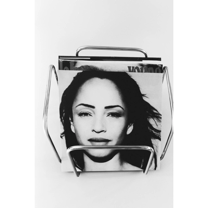 METALLIC RECORD ORGANISER