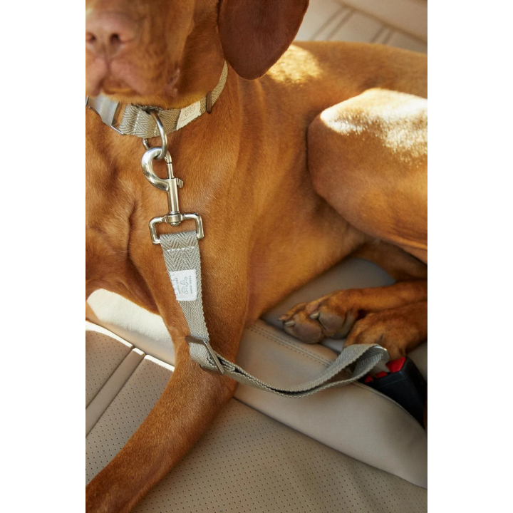 PET CAR SAFETY BELT