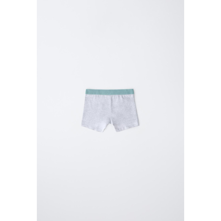 3-6 ЛЕТ/НАБОР ИЗ ПЯТИ ТРУСОВ-БОКСЕРОВ С ЭТИКЕТКОЙ