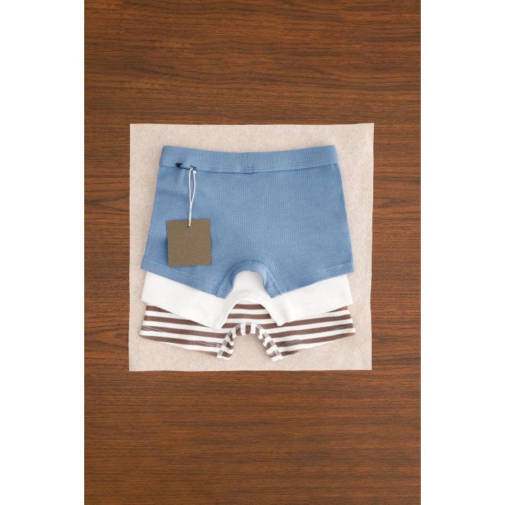 ZARA TIMELESS — НАБОР ИЗ ТРЕХ БОКСЕРОВ С ЭТИКЕТКОЙ