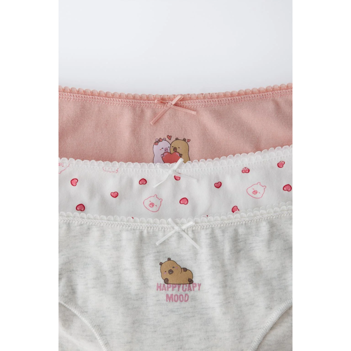 6-14 ЛЕТ/ НАБОР ИЗ ТРЕХ ТРУСОВ «КАПИБАРА КАПИФАН» ©