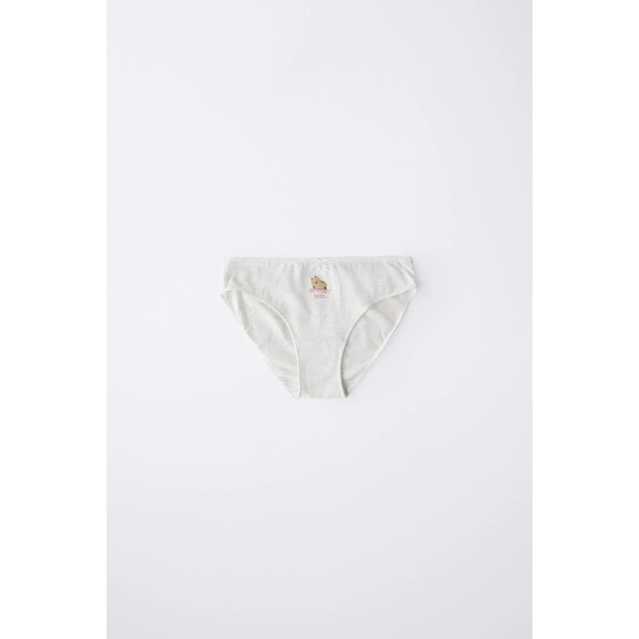 6-14 ЛЕТ/ НАБОР ИЗ ТРЕХ ТРУСОВ «КАПИБАРА КАПИФАН» ©