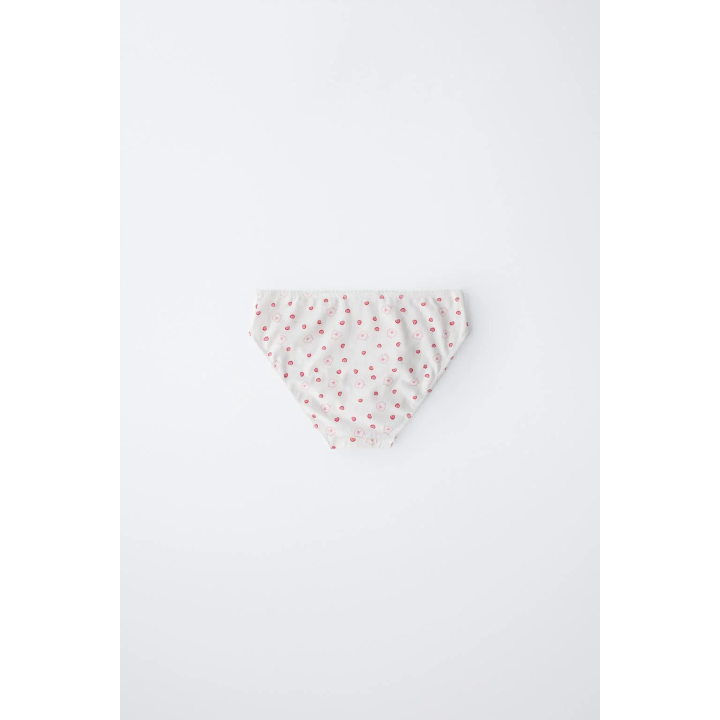 6-14 ЛЕТ/ НАБОР ИЗ ТРЕХ ТРУСОВ «КАПИБАРА КАПИФАН» ©