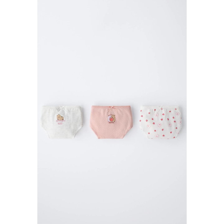 6-14 ЛЕТ/ НАБОР ИЗ ТРЕХ ТРУСОВ «КАПИБАРА КАПИФАН» ©