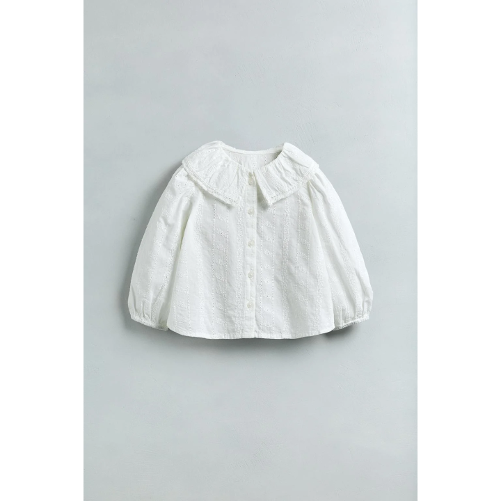 БЛУЗА С ВЫШИВКОЙ