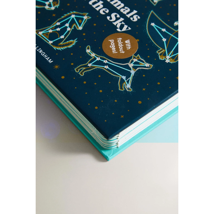 Книга для детей животные на небе