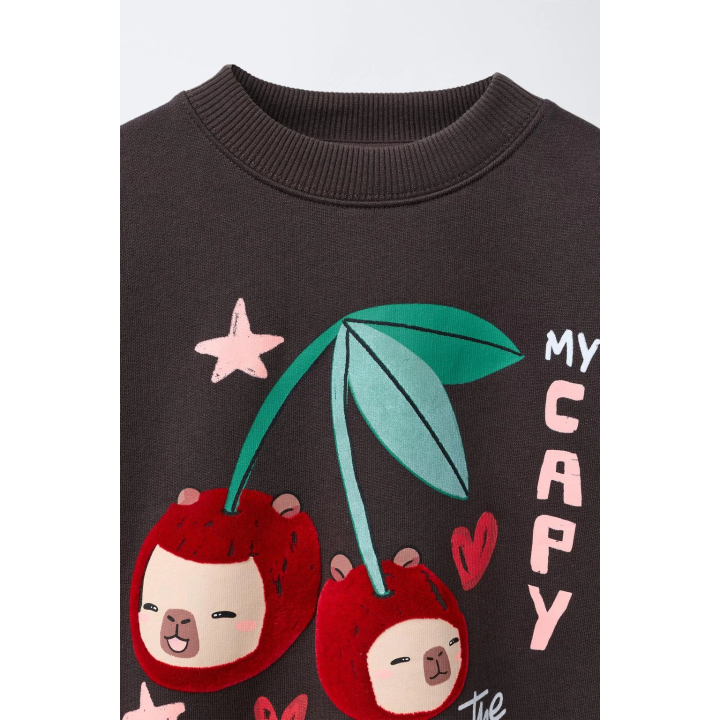 Свитшот flock cherry capybara capyfun © от zara