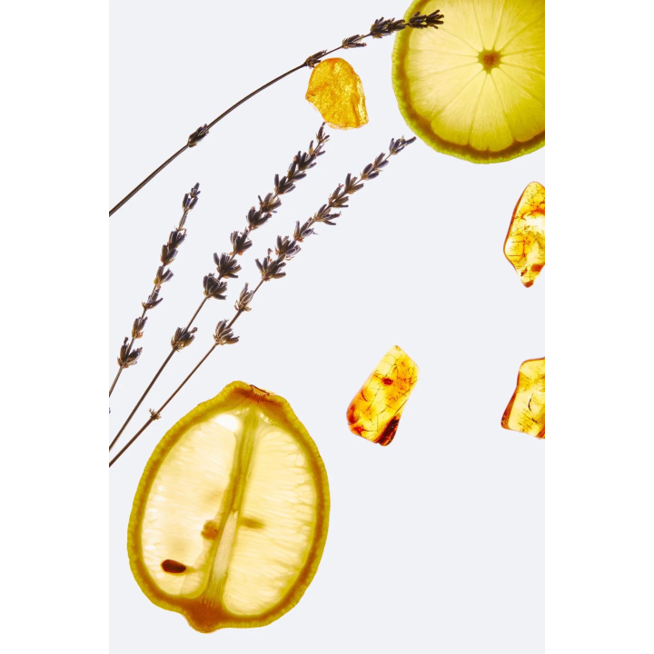 Парфюмированная вода - NIGHT POUR HOMME II 100 мл