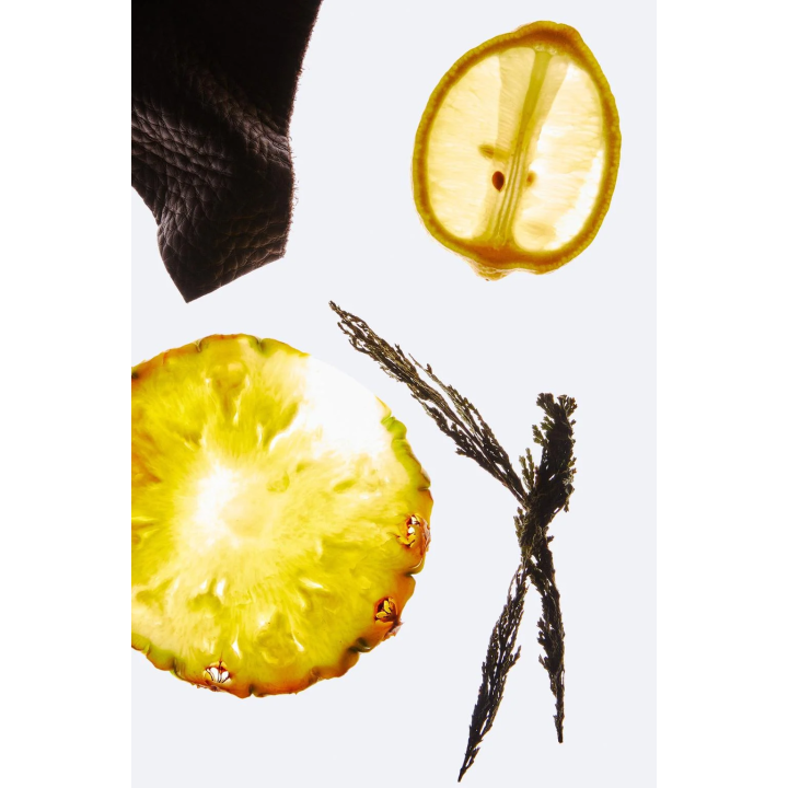 BOGOSS VIBRANT LEATHER, 60 МЛ