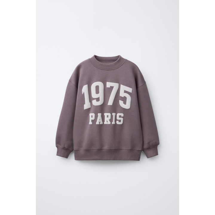 ТОЛСТОВКА С ТЕКСТОВЫМ ПРИНТОМ