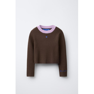 ДЖЕМПЕР В РУБЧИК С КОНТРАСТНЫМ ВОРОТНИКОМ CHAMPION ® X ZARA