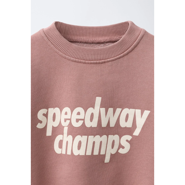 ТОЛСТОВКА С ТЕКСТОВЫМ ПРИНТОМ