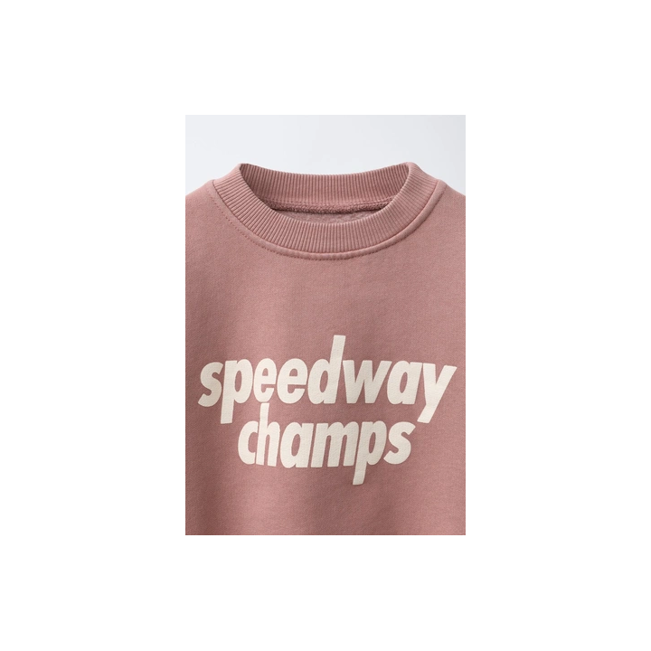 ТОЛСТОВКА С ТЕКСТОВЫМ ПРИНТОМ