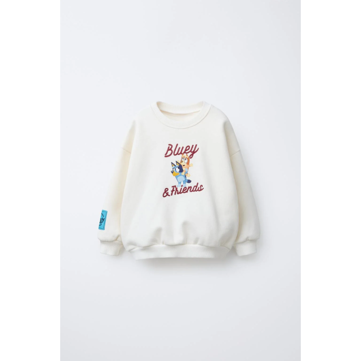 ТОЛСТОВКА С ВЫШИВКОЙ BLUEY © LUDO STUDIO