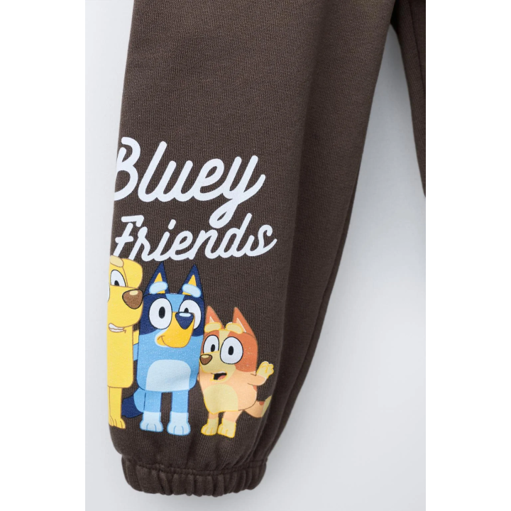 Брюки для дома bluey © ludo studio