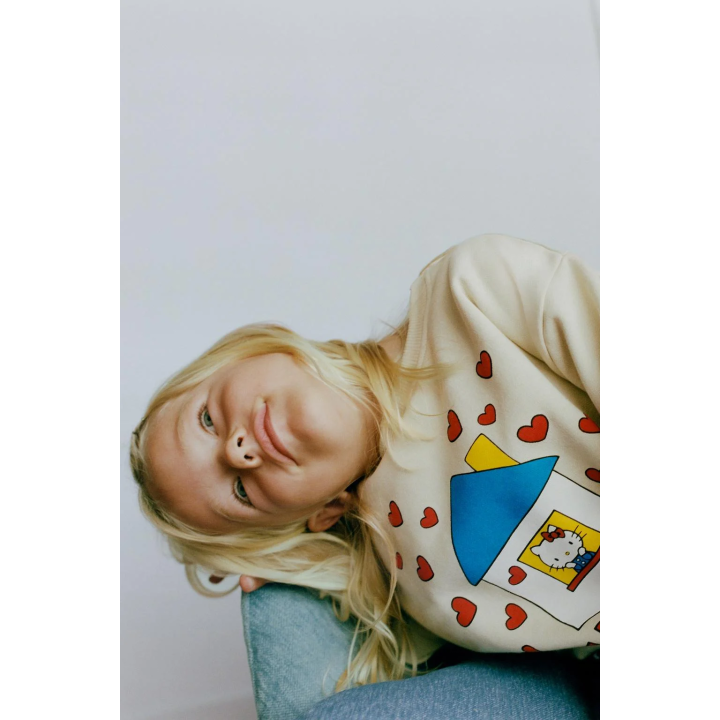 ТОЛСТОВКА HELLO KITTY © SANRIO С ПРИНТОМ «ДОМИК»